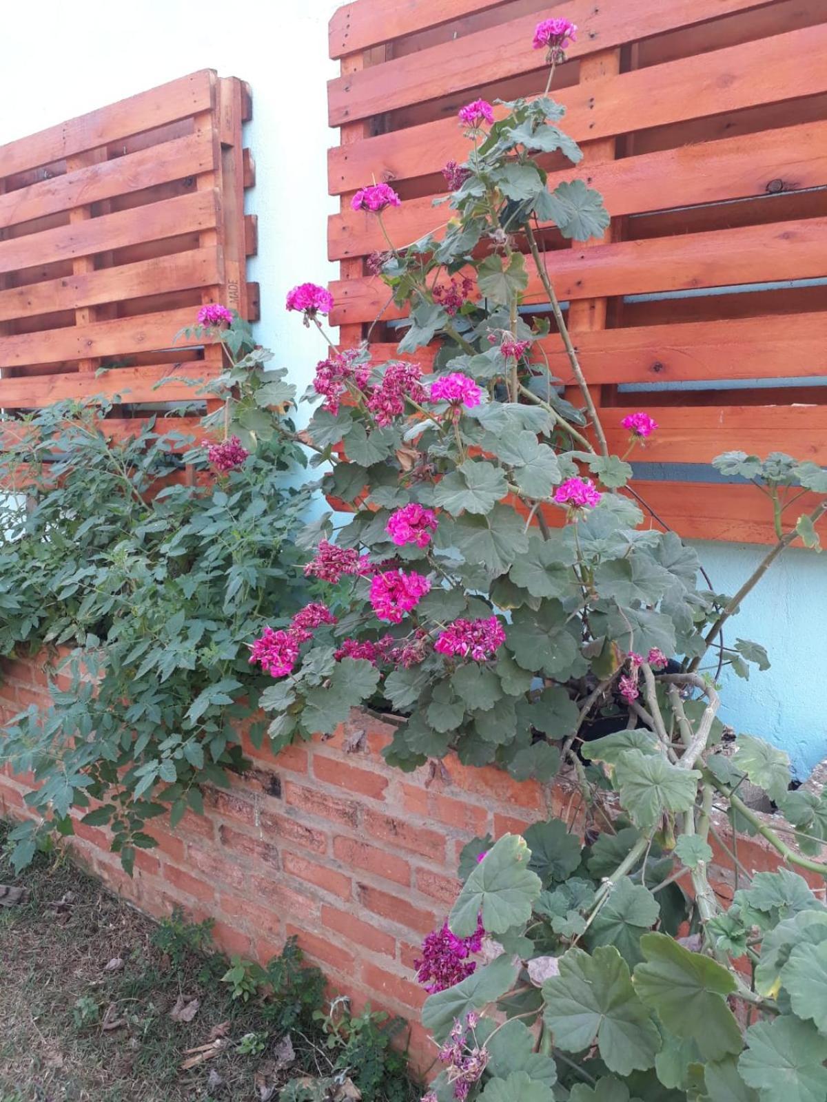 Chacara Recanto Suico Piracicaba Villa Exterior photo